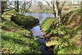 Burn flowing to the River Ayr