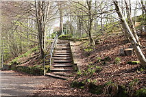 NS3421 : Steps to the Holmston Road by Billy McCrorie
