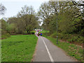 Foot and cycle path towards East Surrey Hospital and beyond