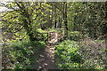 Footbridge, Riverside Path