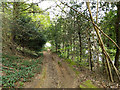 Path down to Sandpit Road, Redhill Common