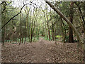 Path, Redhill Common