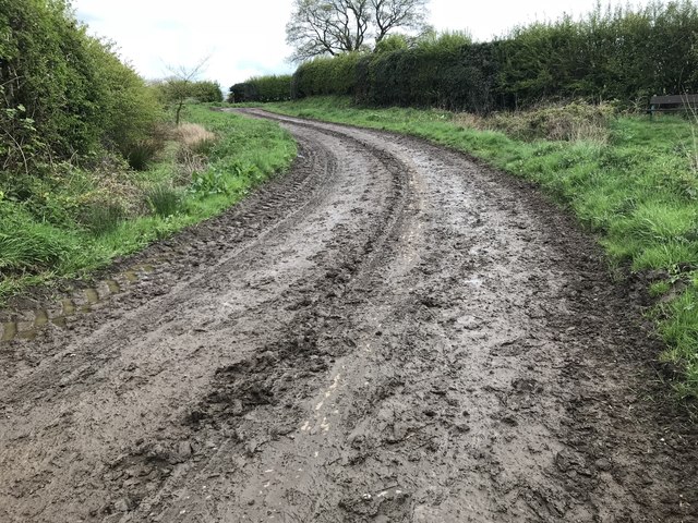 Lane after muck-spreading