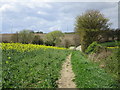 Barnsley Boundary Walk