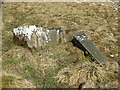 Grave in the old graveyard above Copthill Quarry (4)