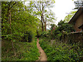 Path south down edge of Redhill Common