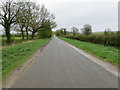 The road to Asterby near Red Hill Farm