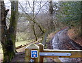 Track, Wye Valley Walk