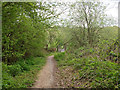 Path from Earlswood Lakes to Woodhatch Road