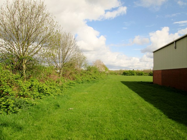 Western  edge  of  former  school  playing  field