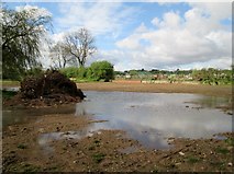 TA0327 : Cleared  site  of  Hessle  High  School  ( Lower  School )  (2) by Martin Dawes
