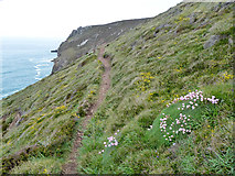 SW6950 : Coast path north from Tubby's Head by Robin Webster