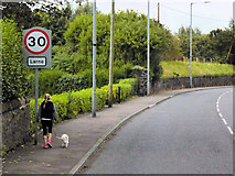 D4003 : Larne, Glenarm Road by David Dixon