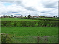 SE6452 : Hedged fields, south of Murton by Christine Johnstone