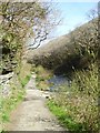 Footpath by Valency in Minster Wood