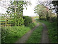 Back Lane Billingley