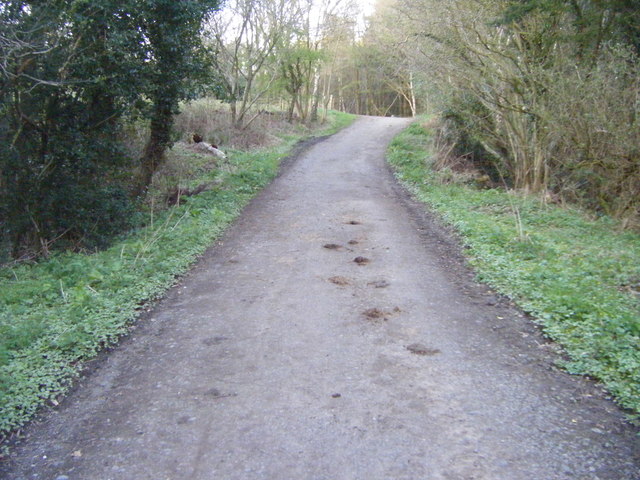 Footpath into Spen Banks Wood