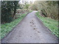 NZ1459 : Footpath into Spen Banks Wood by brian clark