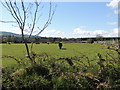 Lislaferty Townland