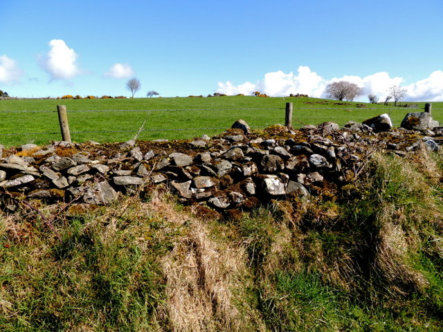 Dry stone wall. Lislaferty © Kenneth Allen cc-by-sa/2.0 :: Geograph Ireland