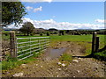 An open field, Magheracoltan