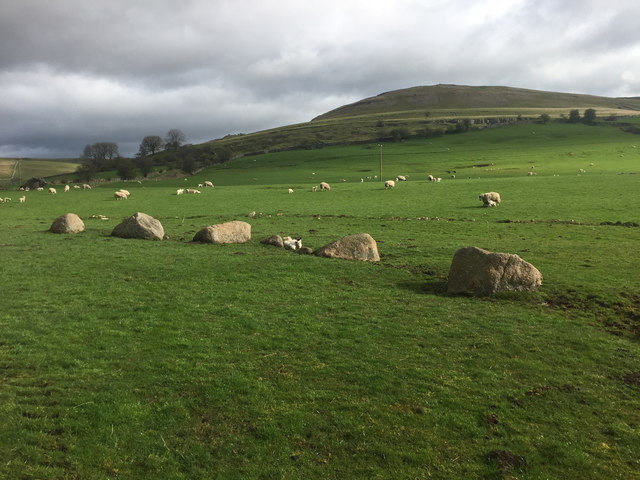 The east side of the Gamelands Stone Circle