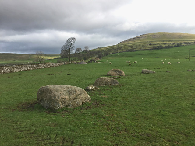 The west side of the Gamelands Stone Circle