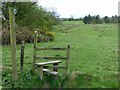 Footpath to Backridges Farm