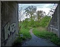 Under the M1 near Pinxton