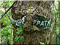 Curious footpath sign embedded in a tree