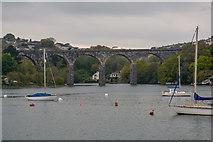 SX4258 : Cornwall : The River Tamar by Lewis Clarke