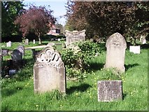 TG2008 : Gravestones in Section 52 by Evelyn Simak