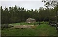 Greenhouse beside woodland