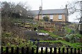 Allotments by St James