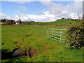 Muddy entrance to field, Beragh