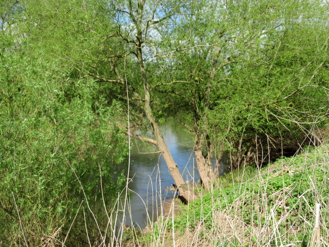River Teme Near Worcester