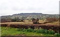 View West across valley floor wetlands towards Tievecrom