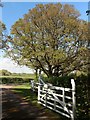 Entrance gate  to Limekiln Farm