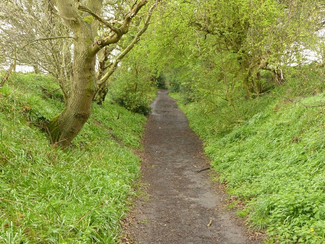 Footpath to Danes Moss Nature Reserve © Alan Murray-Rust :: Geograph ...