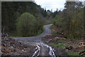 SN8338 : Crychan Forest track junction by Andrew Hill