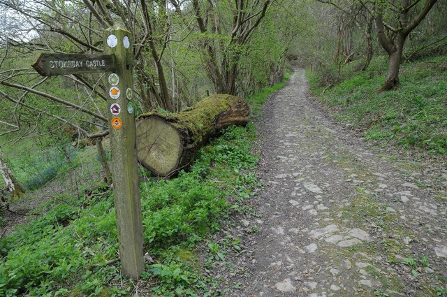 The Shropshire Way in Stoke Wood