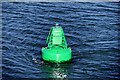 D4103 : No 3 Starboard Marker Buoy, Larne Harbour by David Dixon