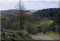 Approaching the farmland at Cwm-coed-oeron