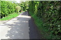 Bridleway towards Totternhoe