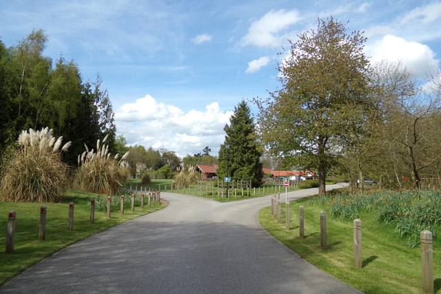 Entrance road at Seven Hills Crematorium