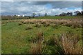 Field beside a footpath