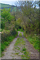 Combe Martin : Rock Lane