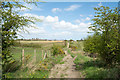 Rough path heading towards South Hetton