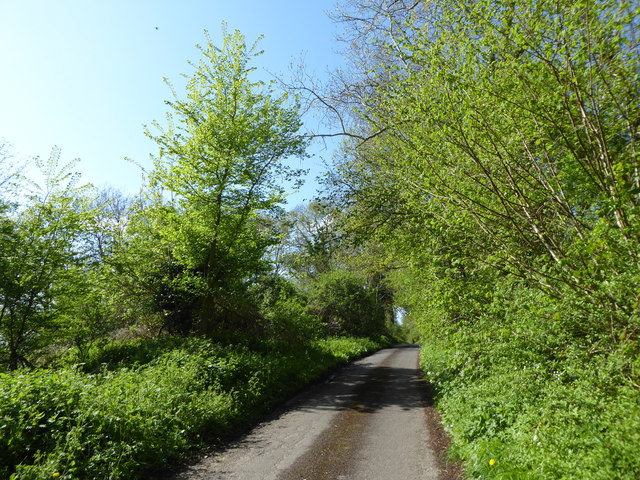 Ham Hill Road