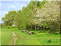 Picnic benches at Lumb Brook Millennium Green